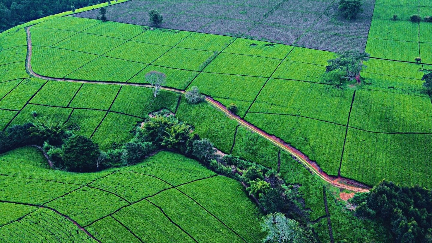 How to Verify Land Ownership in Kenya Before You Buy